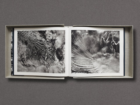 D'après nature Limited Edition with Print