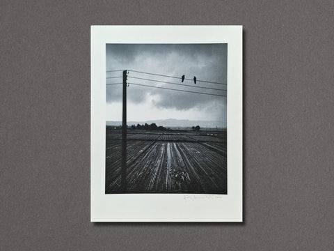 Kitakata, Japan (Two Birds on Wire), 2005 - Setanta Books