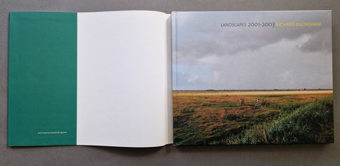 Landscapes: 2001 - 2003 - Setanta Books