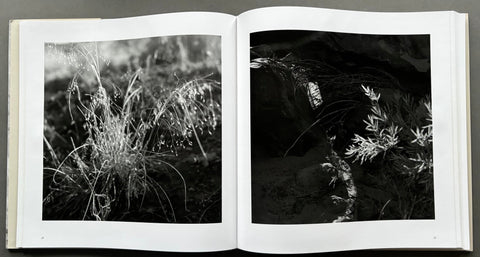 Landscapes - Setanta Books