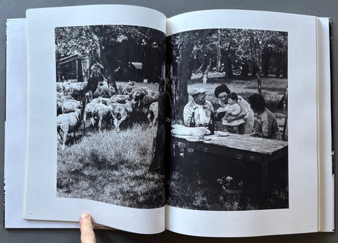 Le Survivance - Setanta Books