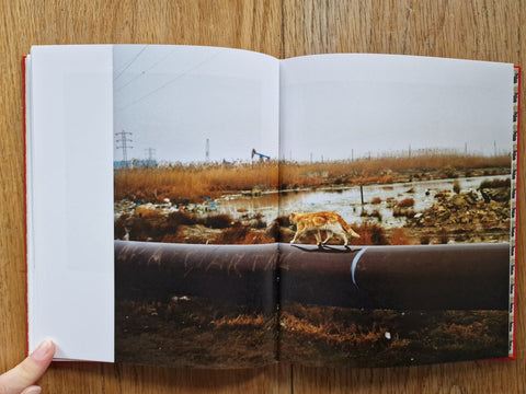 Liquid Land - Setanta Books