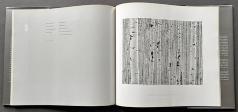 Listen To The Trees - Setanta Books