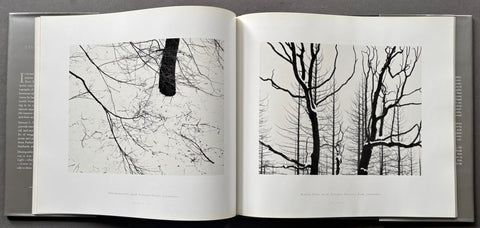 Listen To The Trees - Setanta Books