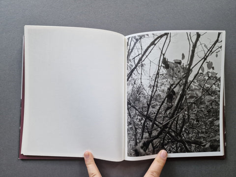 Little - Setanta Books