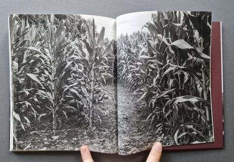 Little - Setanta Books