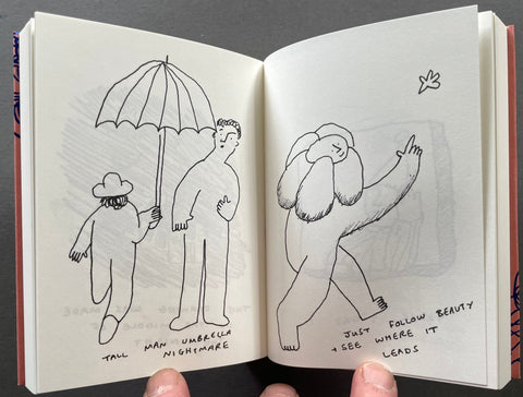 Little Passing Thoughts - Setanta Books
