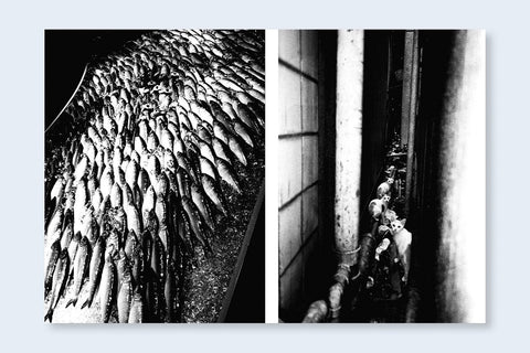 Los Angeles x Shinjuku - Setanta Books