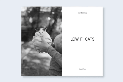 Low - fi - Cats - Setanta Books