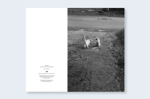 Low - fi - Cats - Setanta Books