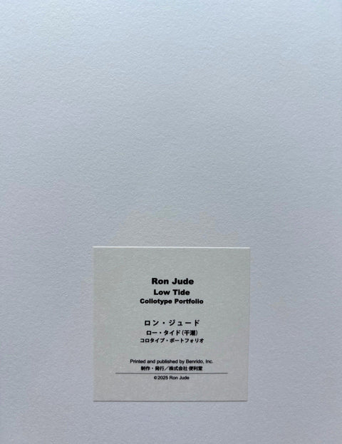 Low Tide - Setanta Books