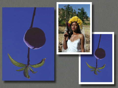 Madre - Setanta Books