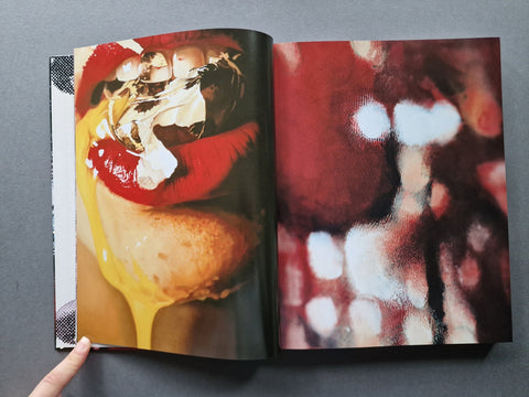 Marilyn Minter - Setanta Books