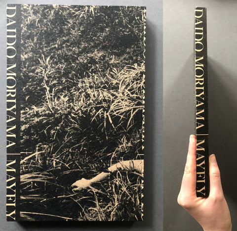 Mayfly - Setanta Books