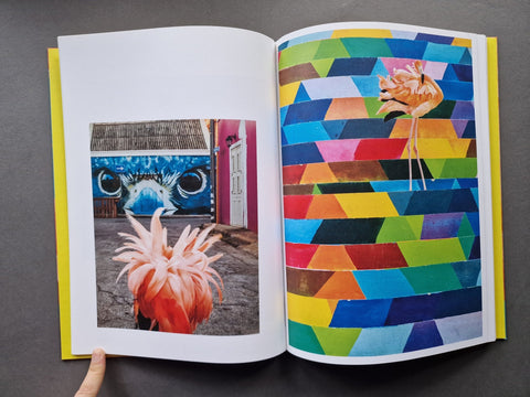 Meet Bob - Setanta Books