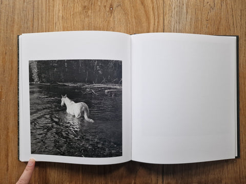 Megalith - Still - Setanta Books