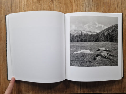 Megalith - Still - Setanta Books