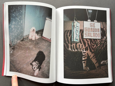 Mi Perro - Setanta Books