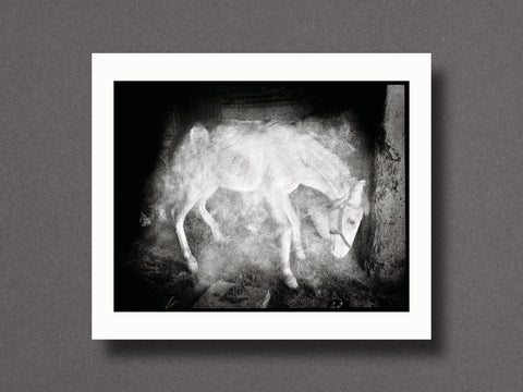 End Time City Limited Edition with Choice of 2 Prints