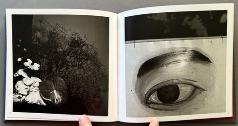 Monogusa Shui - Setanta Books