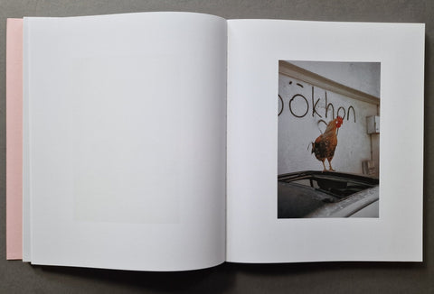 An open book with blank white pages on the left and a printed photograph on the right showing a rooster standing on a car in front of a wall with graffiti.