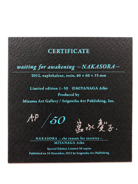 Nakasora: The reason for eternity Special Edition (AP)