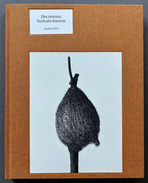 Des-Oiseaux-Nathalie-Baetens-Setanta-Books