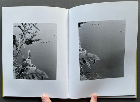 Natur - Setanta Books