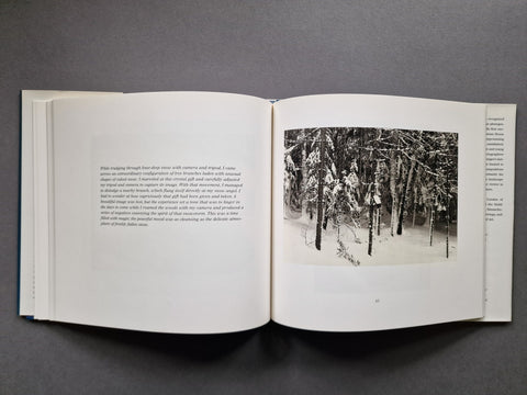 New England Days - Setanta Books