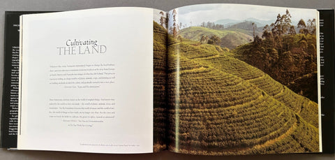 No Ordinary Land: Encounters in a Changing Environment - Setanta Books