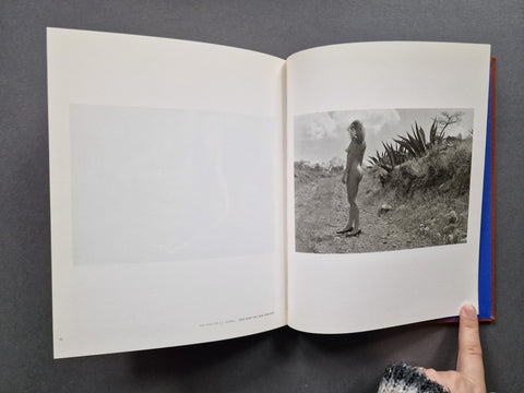 Nudes: The Blue House - Setanta Books