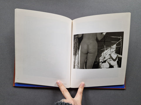 Nudes: The Blue House - Setanta Books