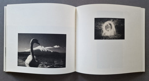 Nusa - Setanta Books