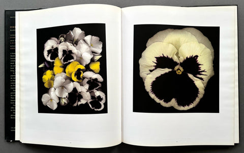 One Hundred Flowers - Setanta Books