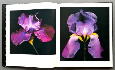 One Hundred Flowers - Setanta Books