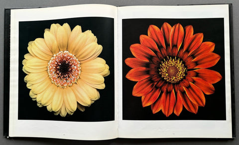 One Hundred Flowers - Setanta Books