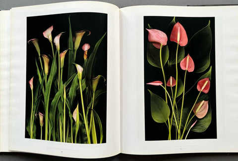 One Hundred Flowers - Setanta Books