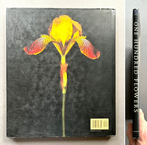 One Hundred Flowers - Setanta Books