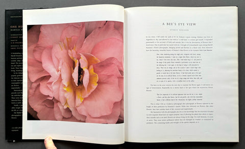 One Hundred Flowers - Setanta Books