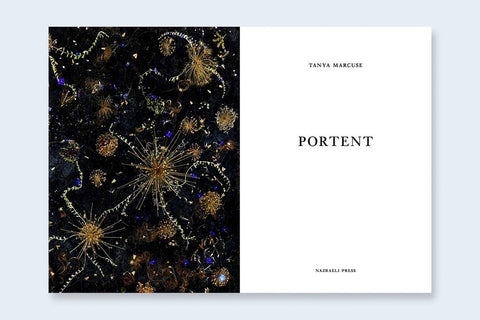 One Picture Book Two 37 : Portent - Setanta Books