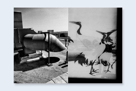 One Picture Book Two 38 : L.A. Uno - Setanta Books