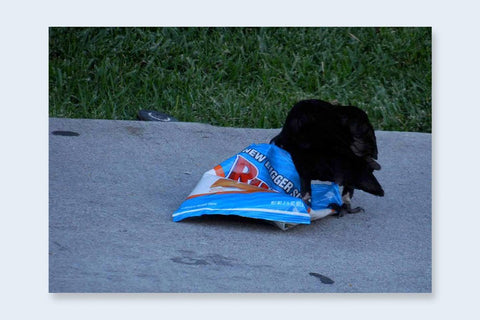 One Picture Book Two 39 : L.A. Dos - Setanta Books