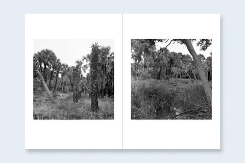 One Picture Book Two 40 : Sea Islands - Setanta Books
