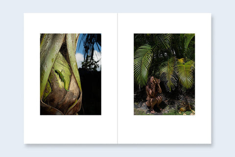 One Picture Book Two 41: Living on Lava - Setanta Books