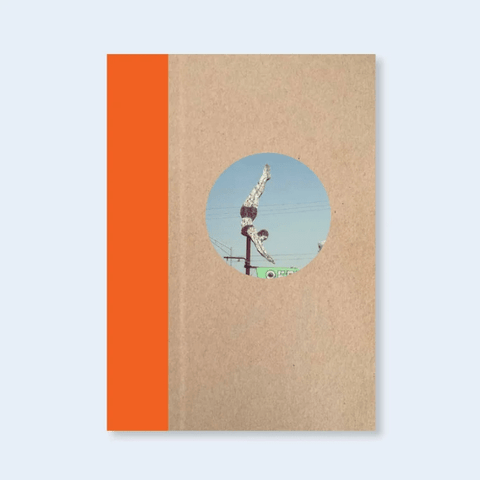 One Picture Book Two 50 : Plywood Signs - Setanta Books