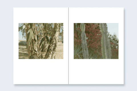 One Picture Book Two 51 : Desert Daze - Setanta Books