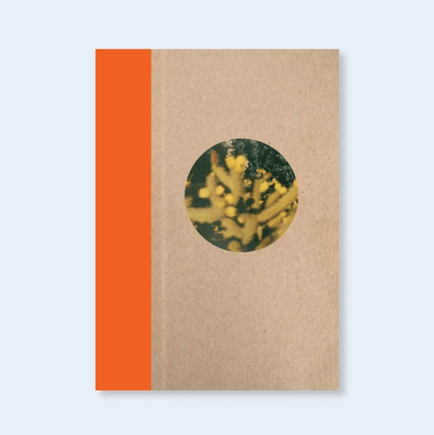 One Picture Book Two 51 : Desert Daze - Setanta Books