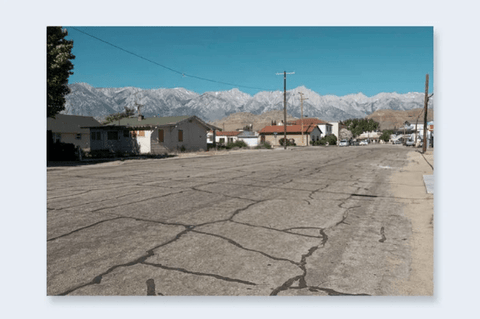 One Picture Book Two 52 : Lone Pine - Setanta Books