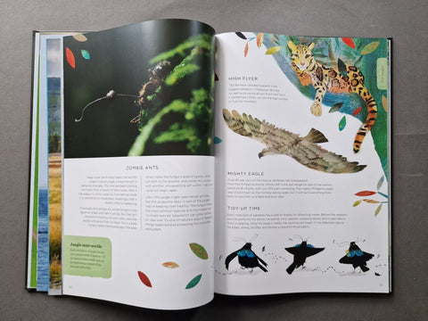 Our Planet: The One Place We All Call Home - Setanta Books
