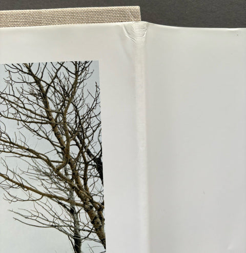 Out There - Setanta Books